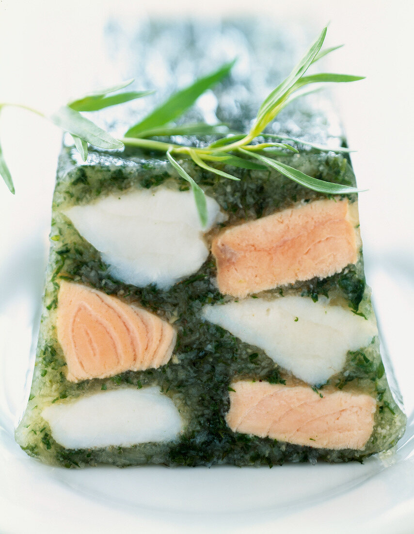 Fischterrine mit Estragon