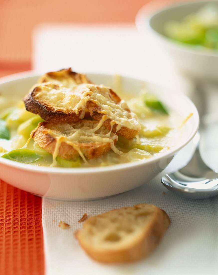 oven browned onion and leek soup