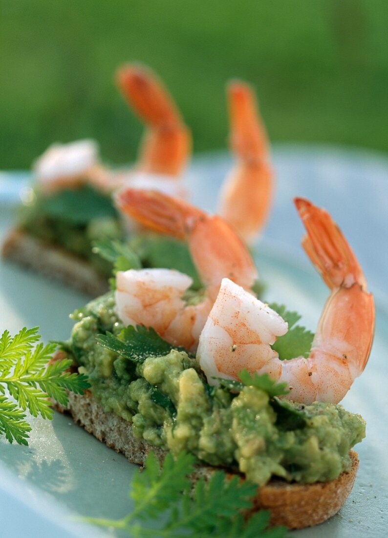 Getoastetes Brot mit Guacamole und Shrimps