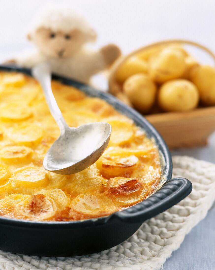 Gratin dauphinois sliced potato dish