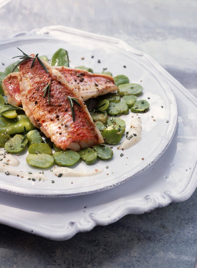 Redmullet fillet with broad beans and sugar peas and Monthais cheese cream