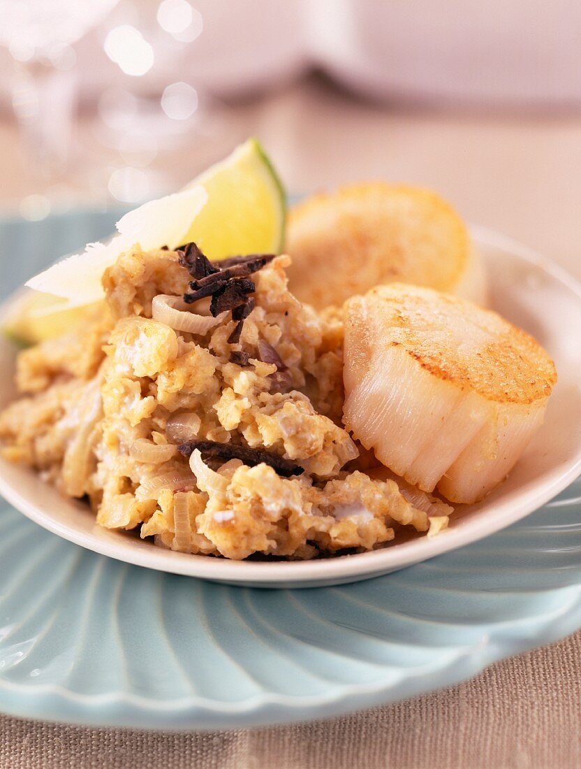 Scallops with oat risotto and truffles