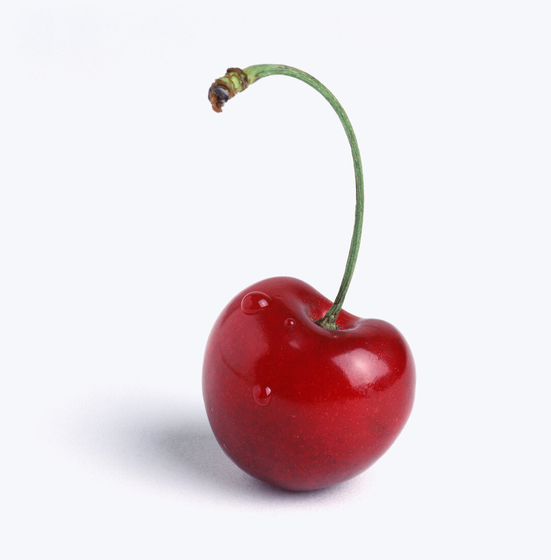 cherry