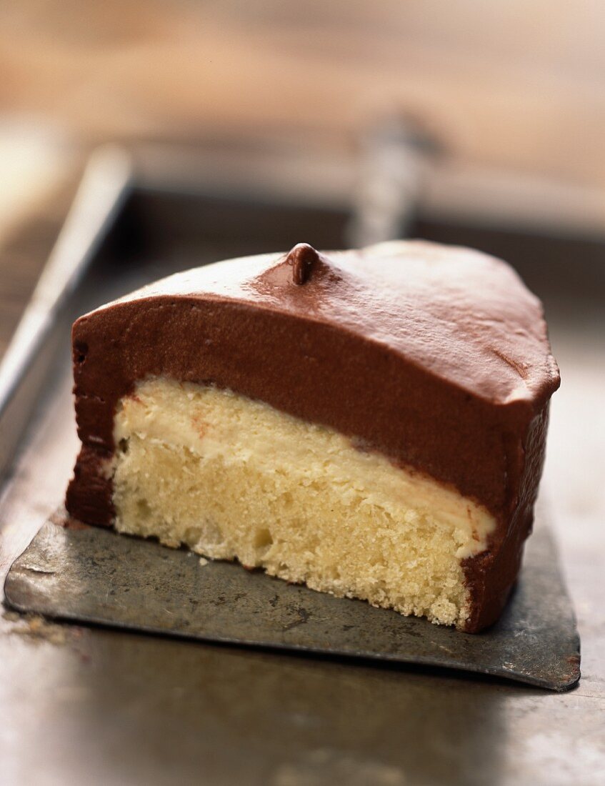 Chocolate mousse and vanilla cream cake
