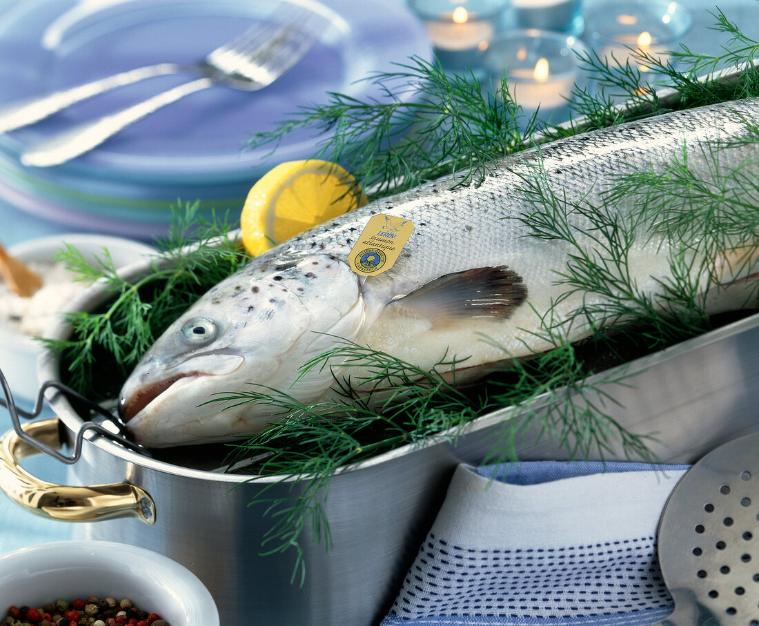 Roher Lachs mit Dill und Zitrone im Fischtopf