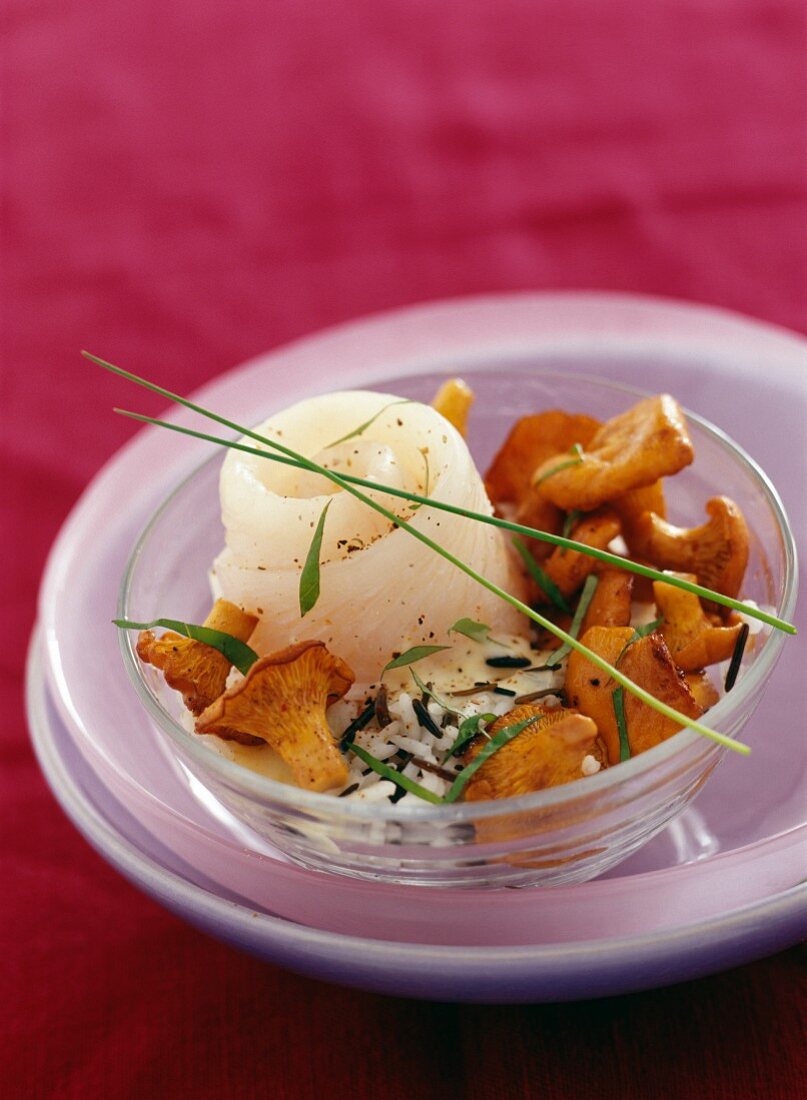Fish Paupiettes with chanterelles and tarragon