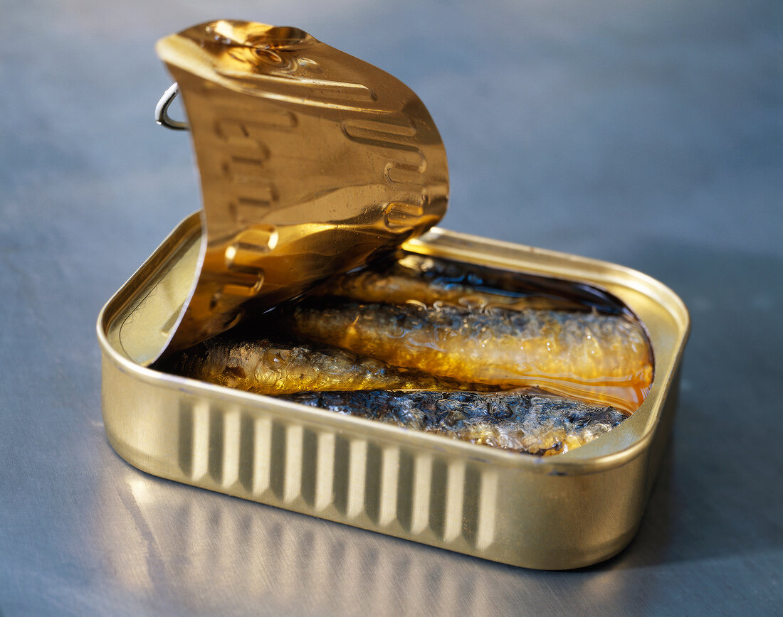 tin of sardines in oil