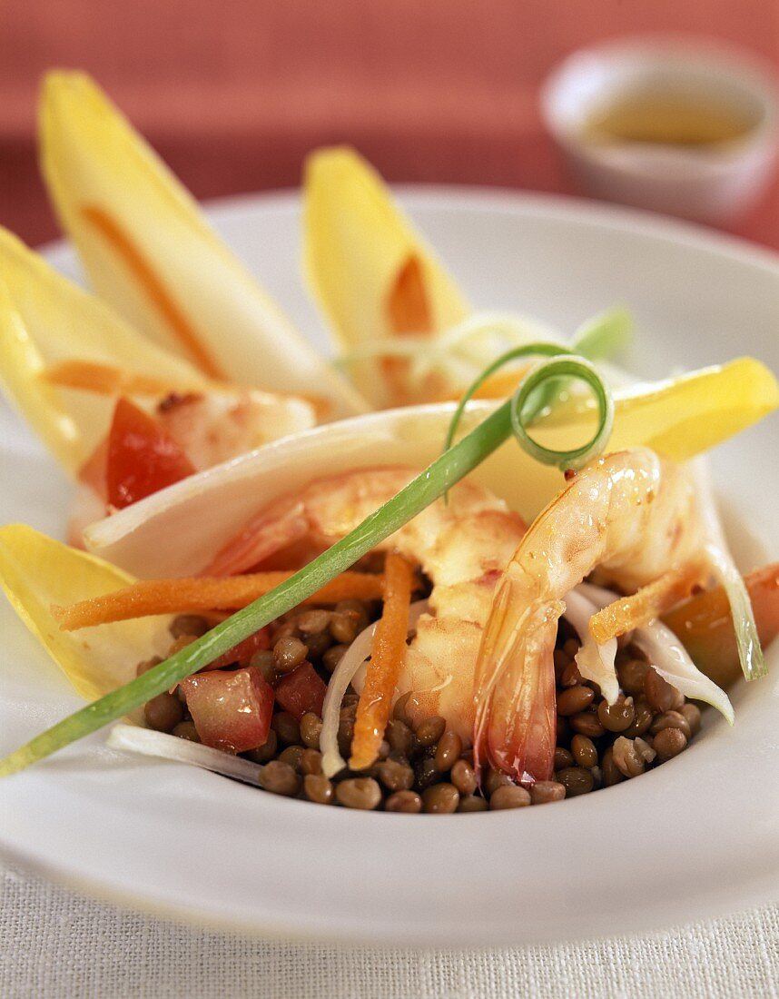 endive and lentil salad with shrimp