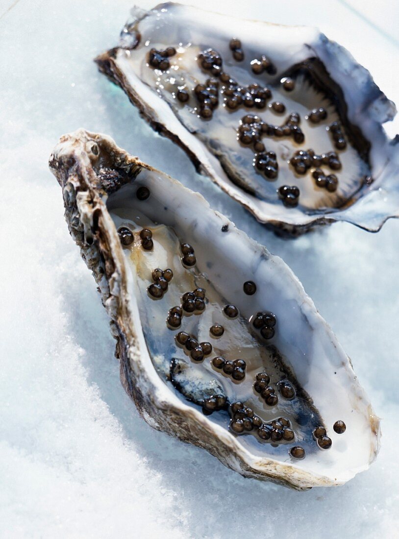 Oysters in caviar jelly (topic: menus by Aurélie)
