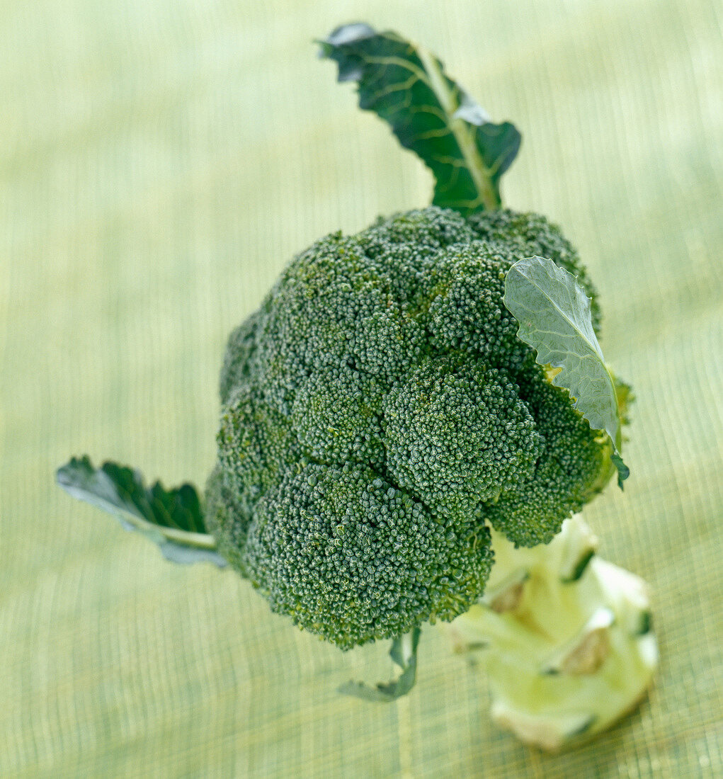 Broccoli (topic : light diners)