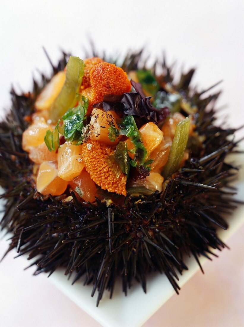 Urchin stuffed with salmon and seaweed tartare