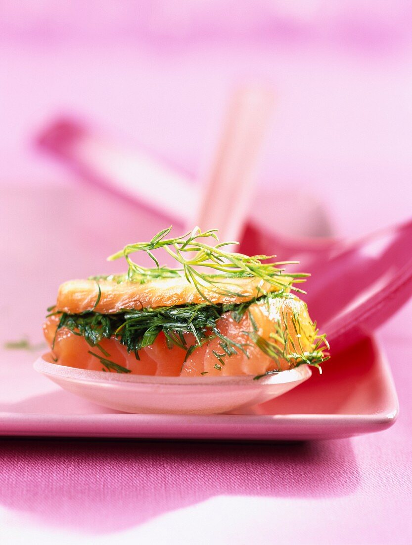 Salmon gravlax