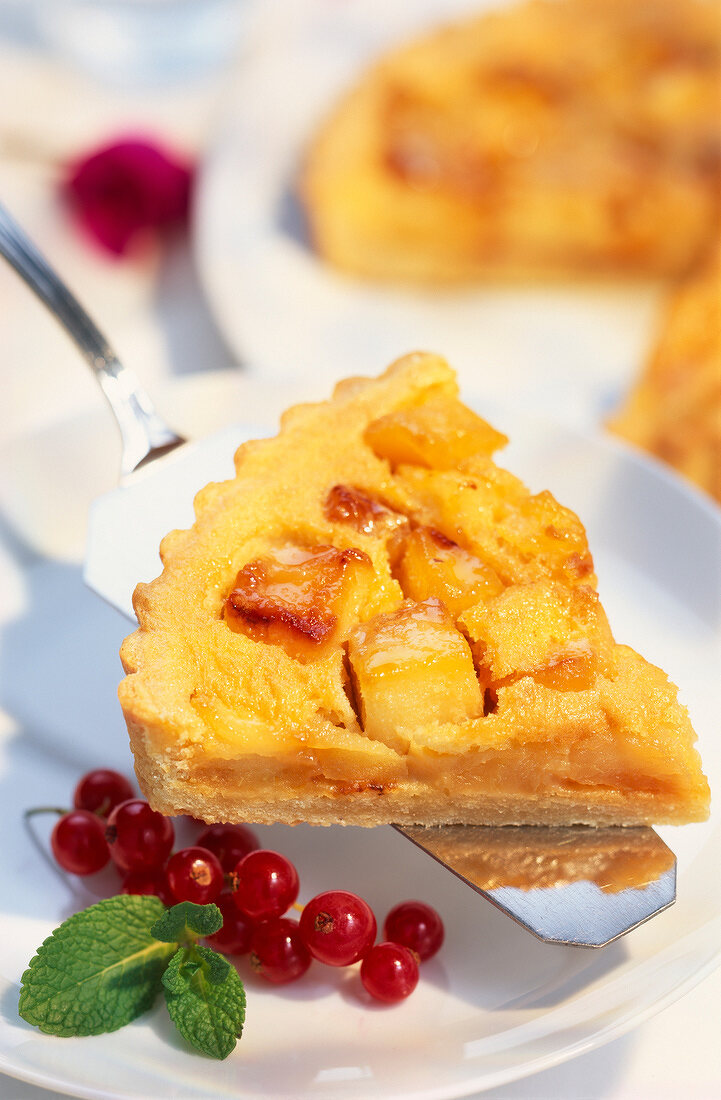 Tarte lilloise (Apfelkuchen mit Bier aus Lille, Frankreich)