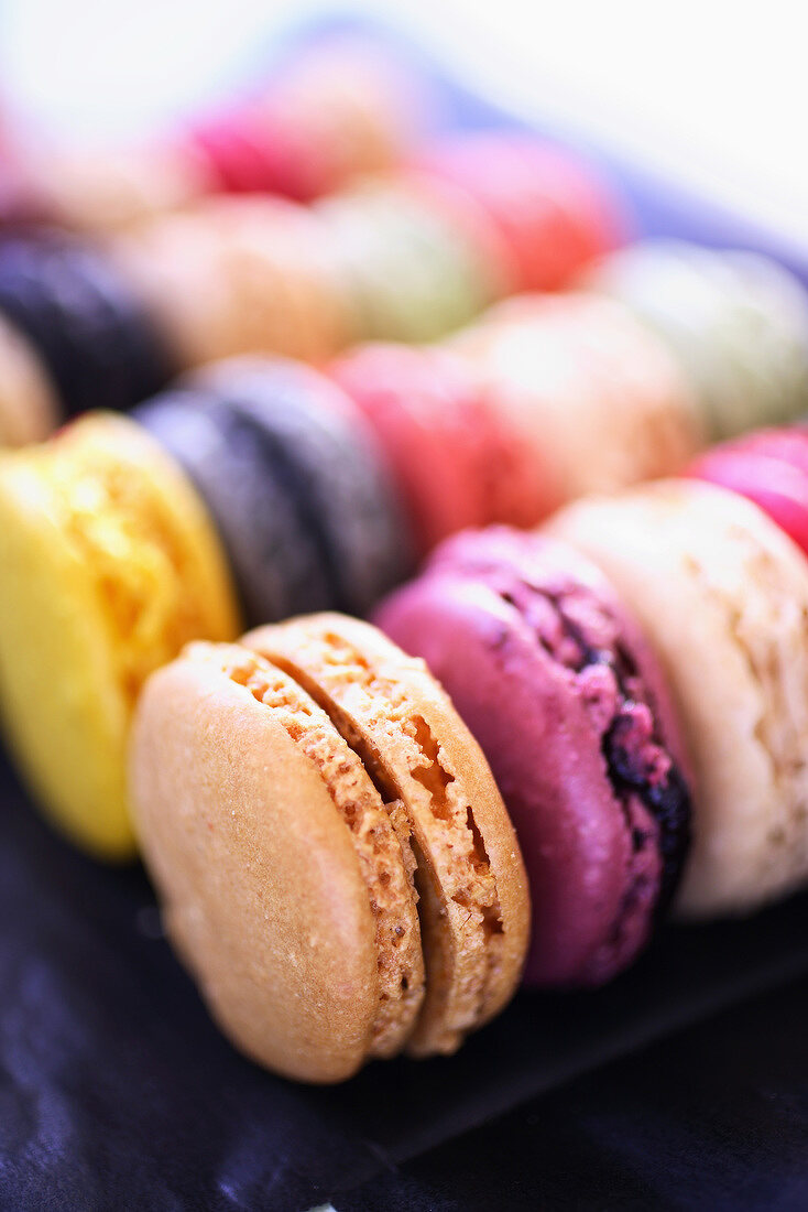 Selection of macaroons