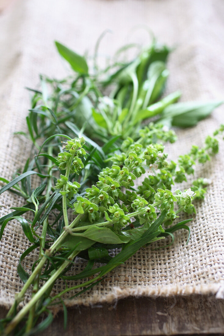 Bunch of fresh herbs