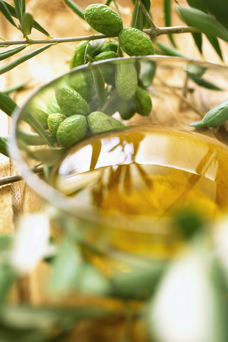 Schale Olivenöl zwischen Olivenzweigen
