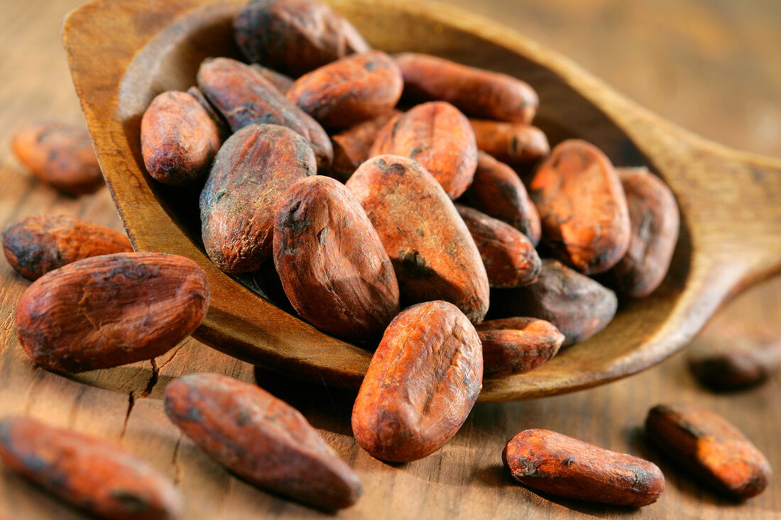 Kakaobohnen auf Holzlöffel
