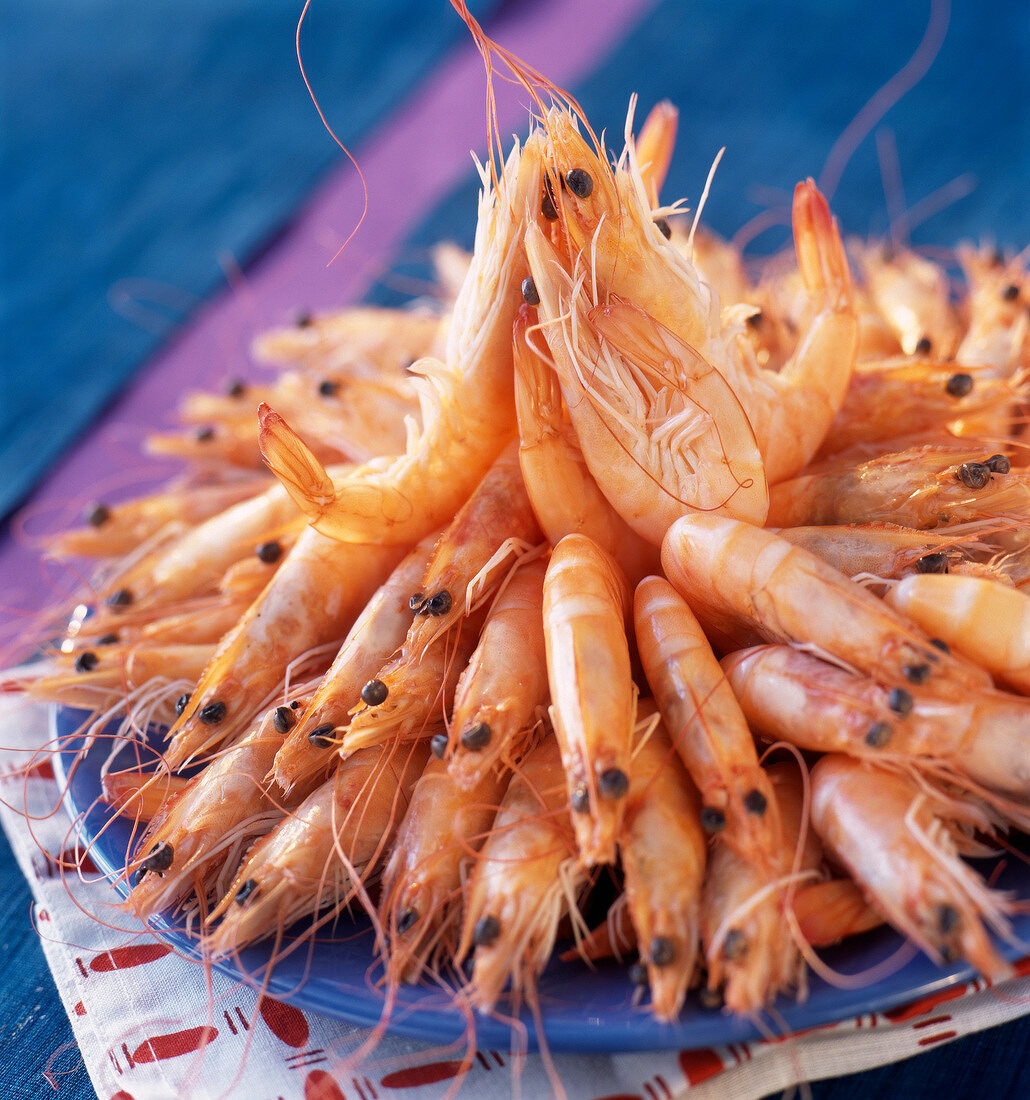 Platte mit frischen Shrimps