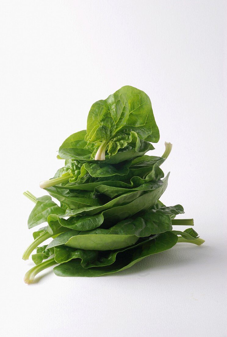 Pile of spinach shoots