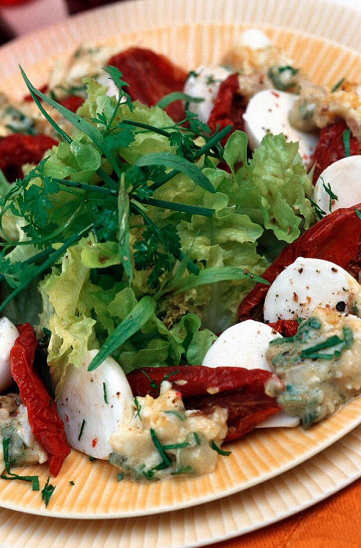 Grüner Salat mit getrockneten Tomaten, Mozzarella und Chili