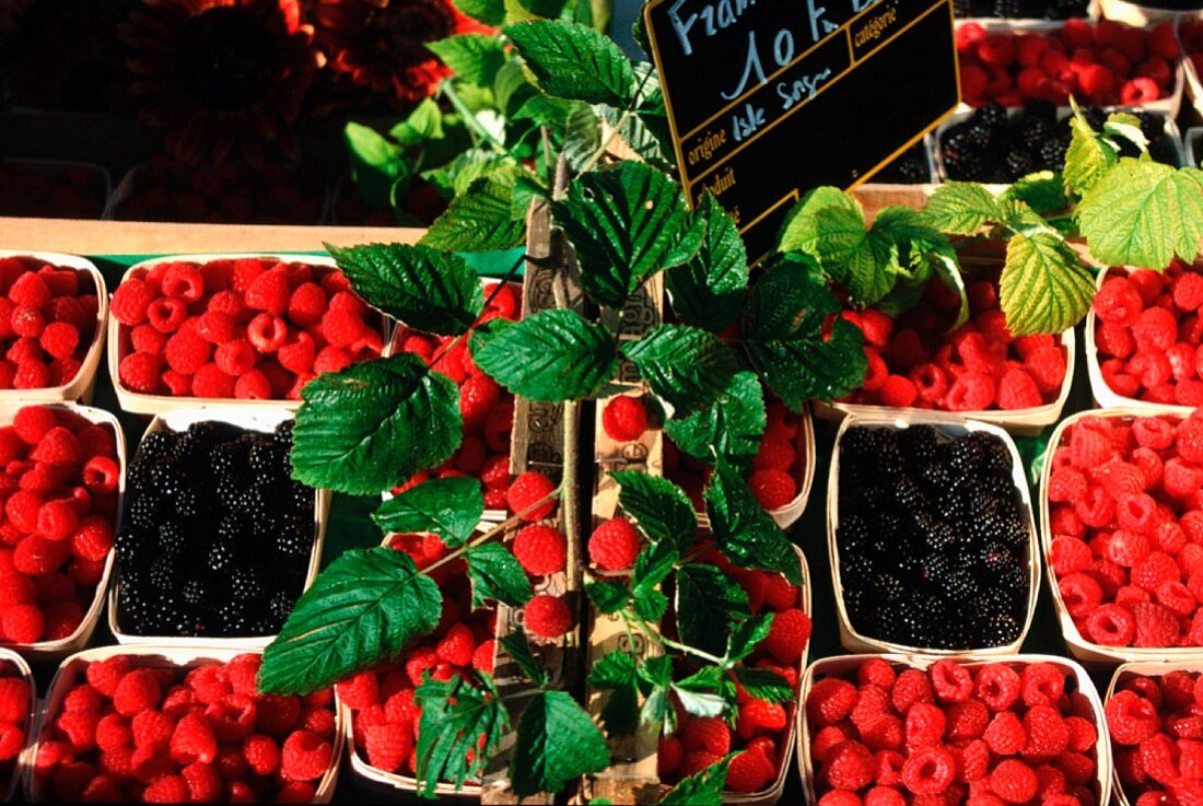 Fresh raspberries and blackberries in cardboard punnets on a market stall