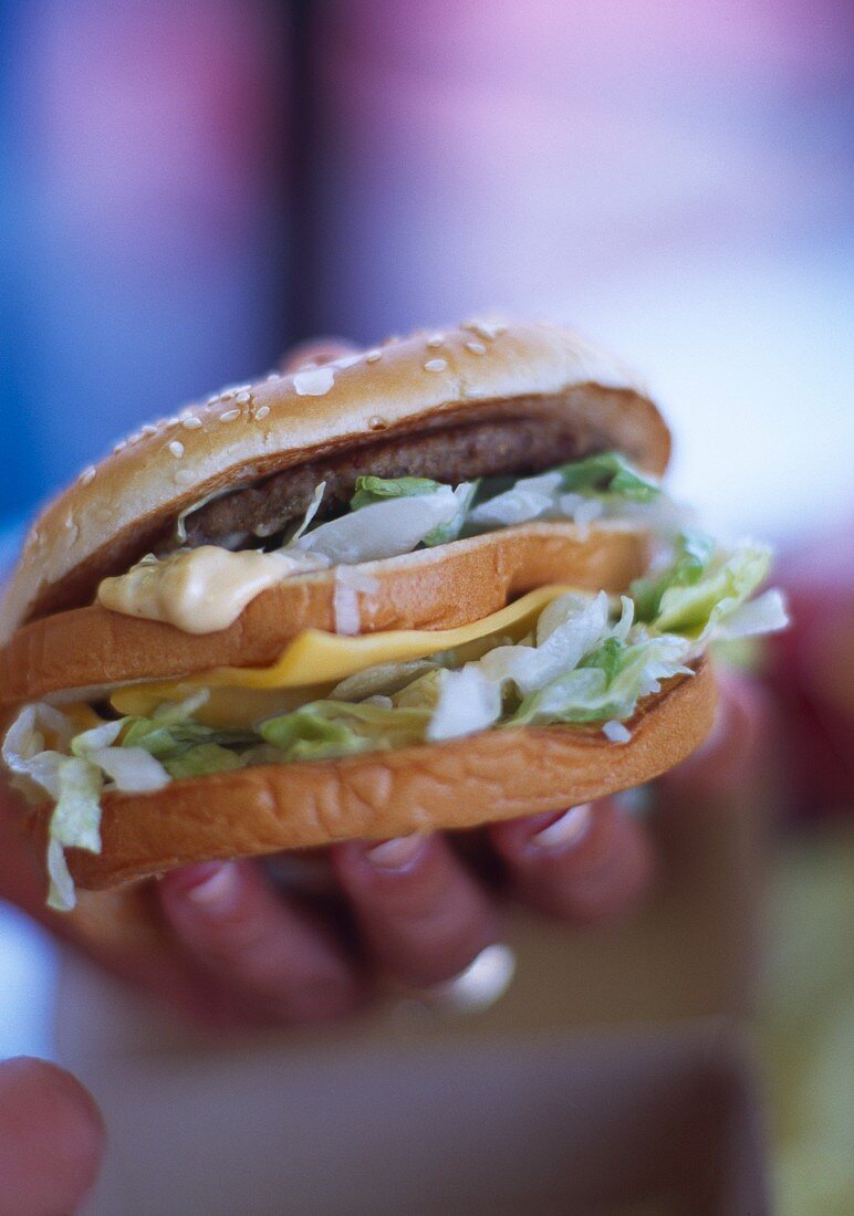 US fast food, hamburger