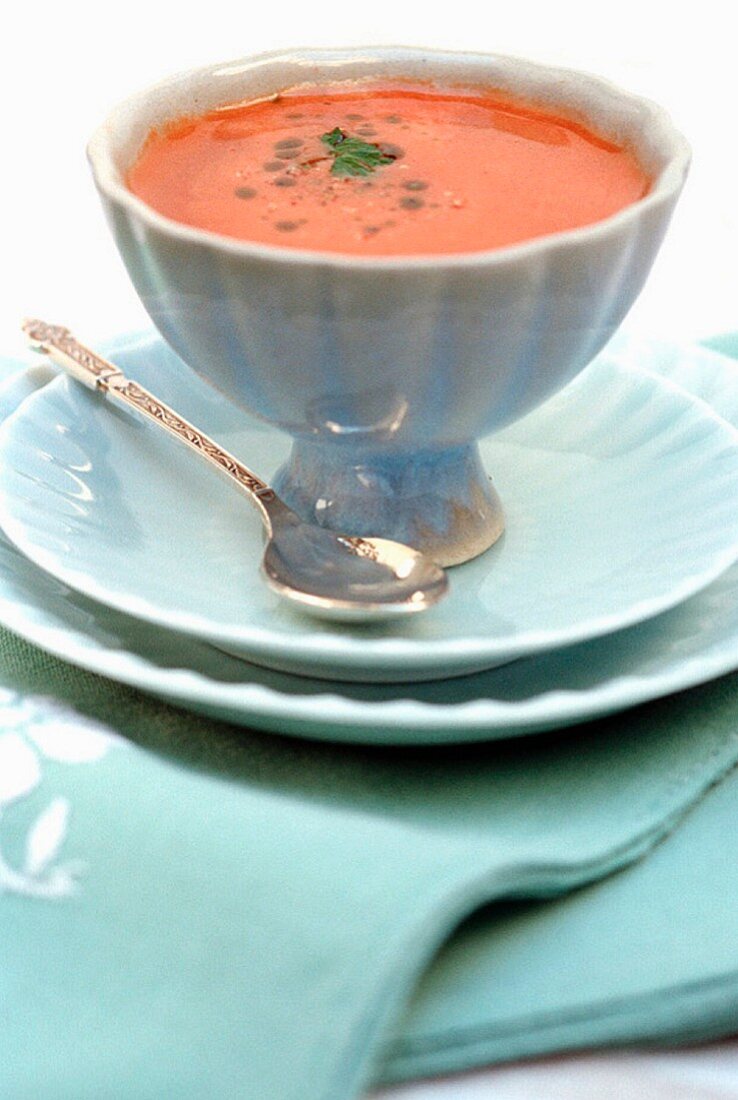 Gazpacho (cold vegetable soup, Spain)