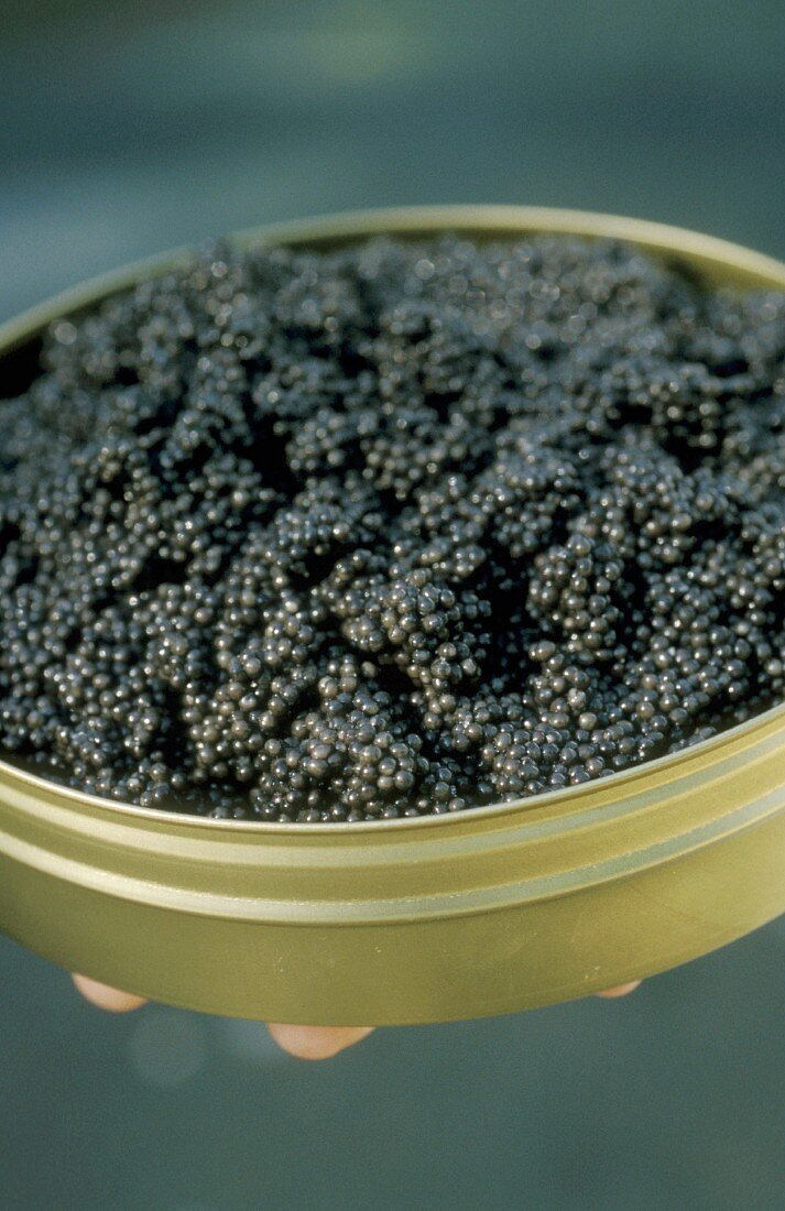 A tin of beluga caviar