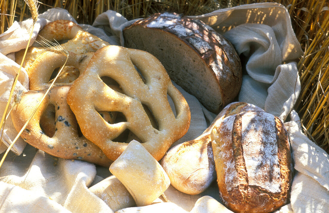 Verschiedene Brote und Brötchen
