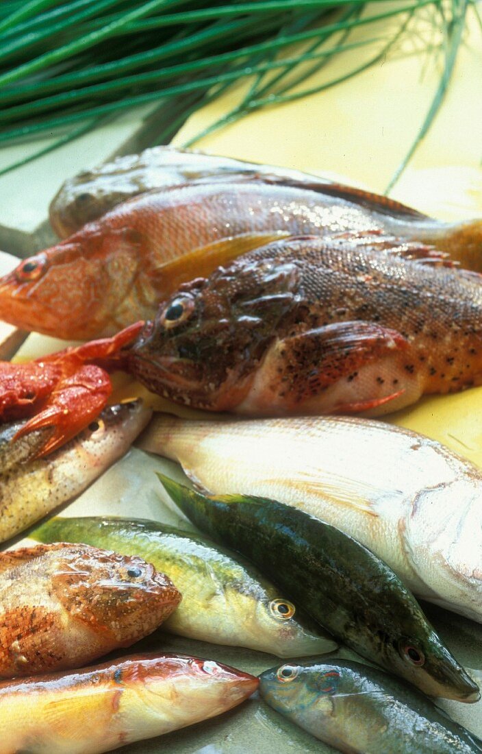 Provenzalisches Fischstillleben