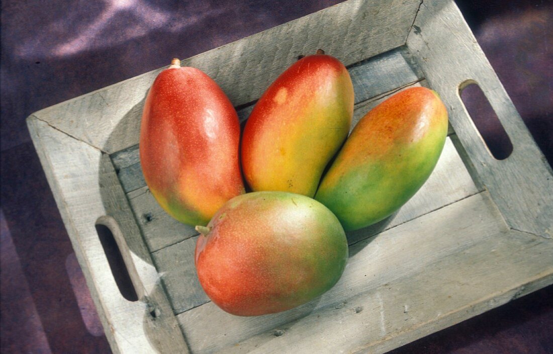 Mangoes on a wooden tray