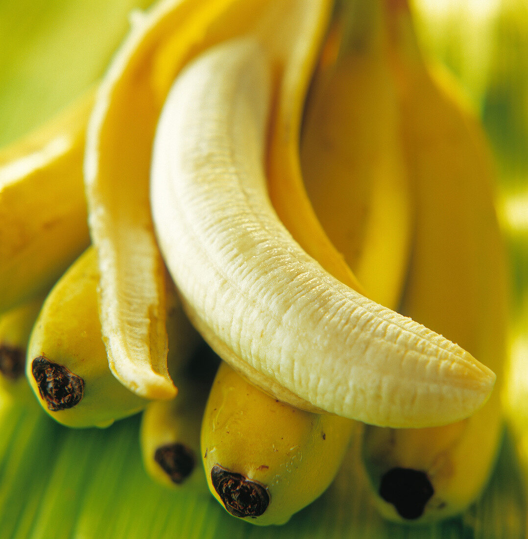 Frische Bananen, davon eine geschält