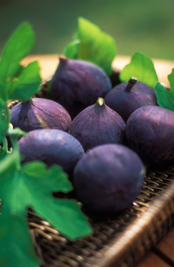 Figs