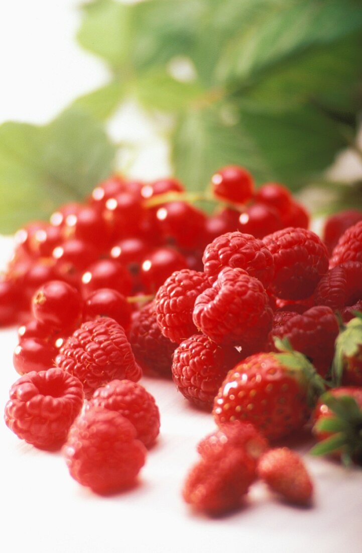 Erdbeeren, Himbeeren und rote Johannisbeeren