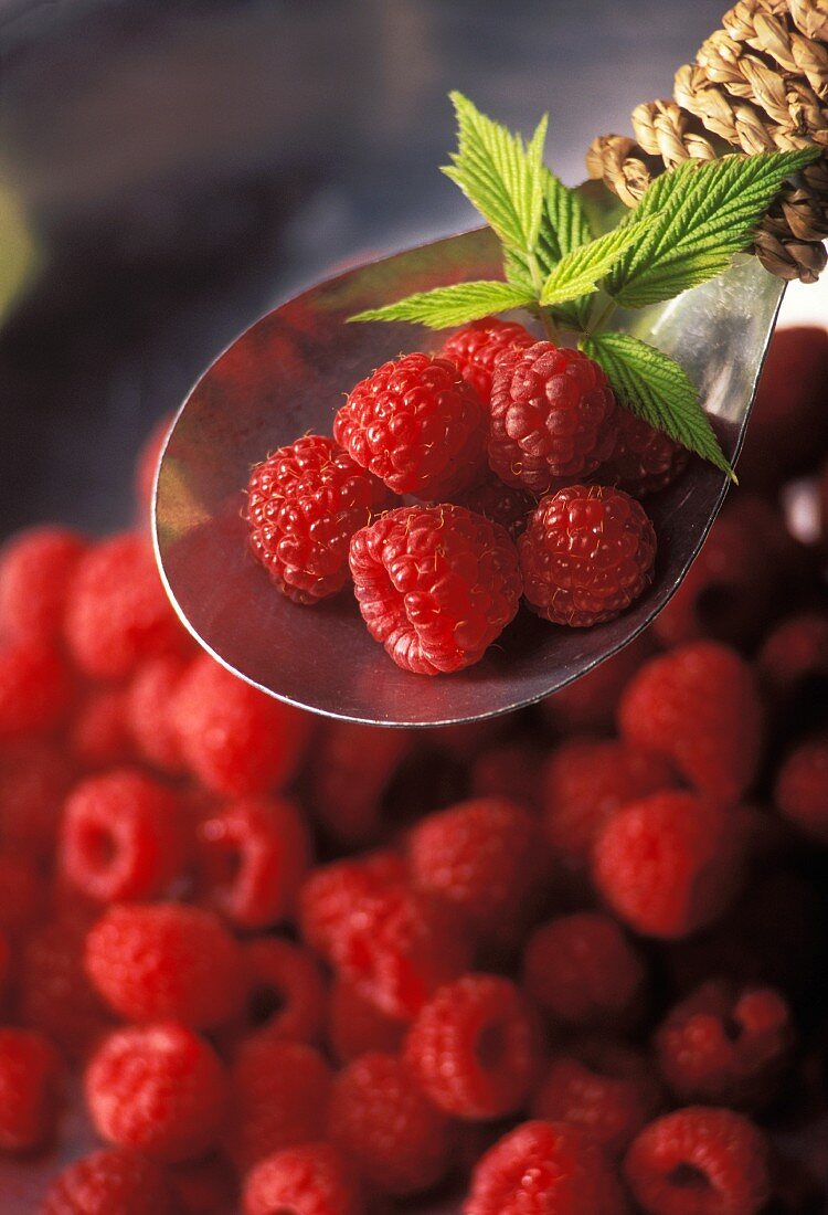 Raspberries