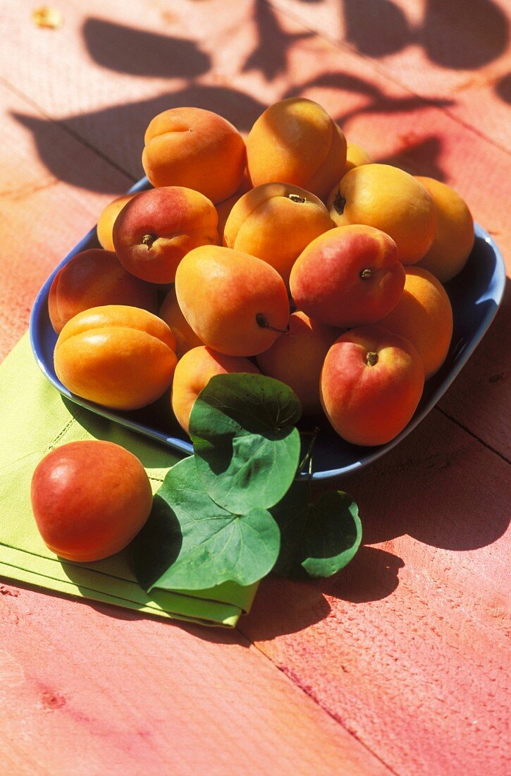 Apricots