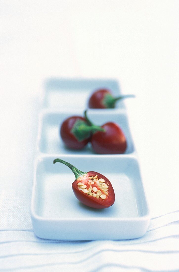 Chilli peppers on square plates