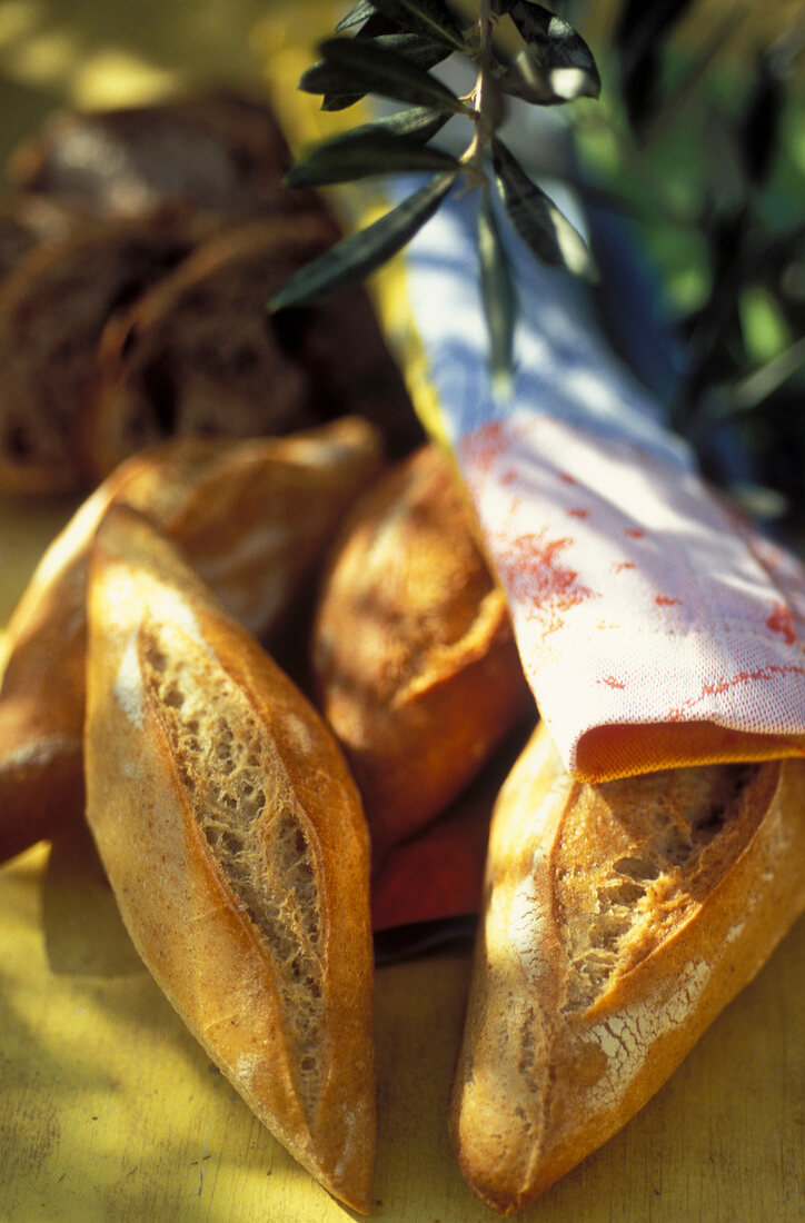 Provençal bread and olive branch