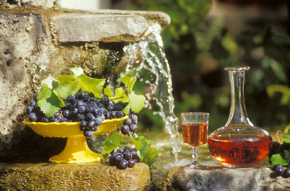 Weinkaraffe und Weinglas mit blauen Weintrauben vor einem Brunnen
