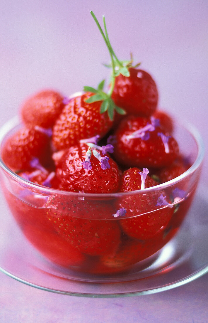 Erdbeeren mit Lavendel