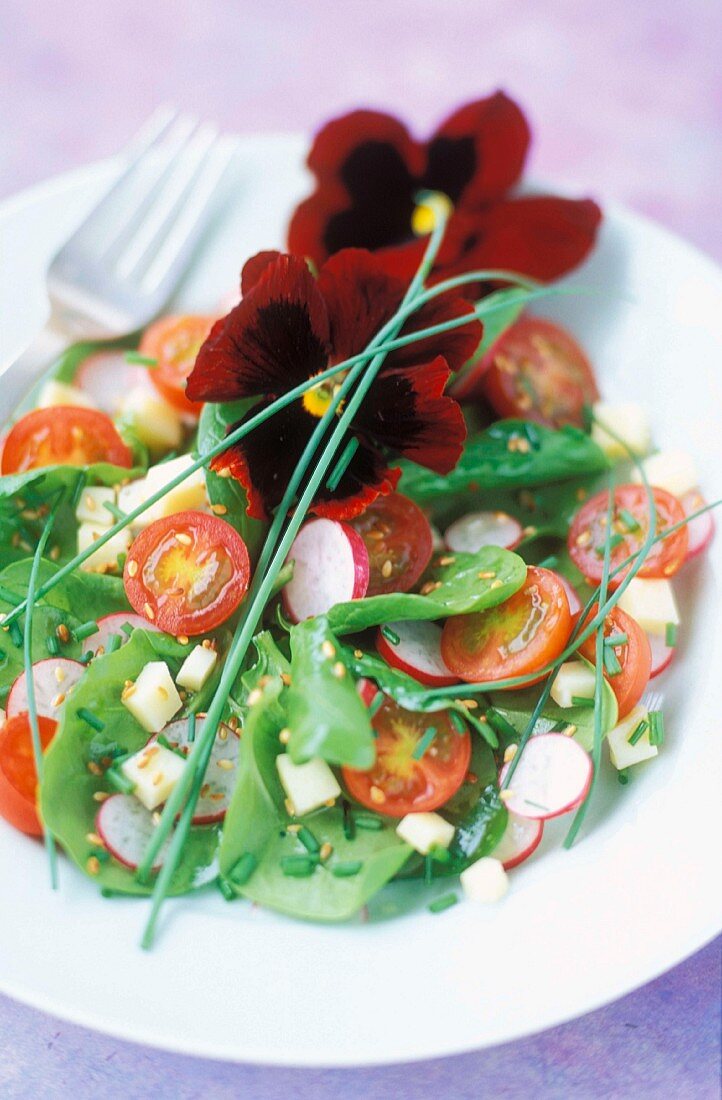 Spinach shoot, radish and pansy salad