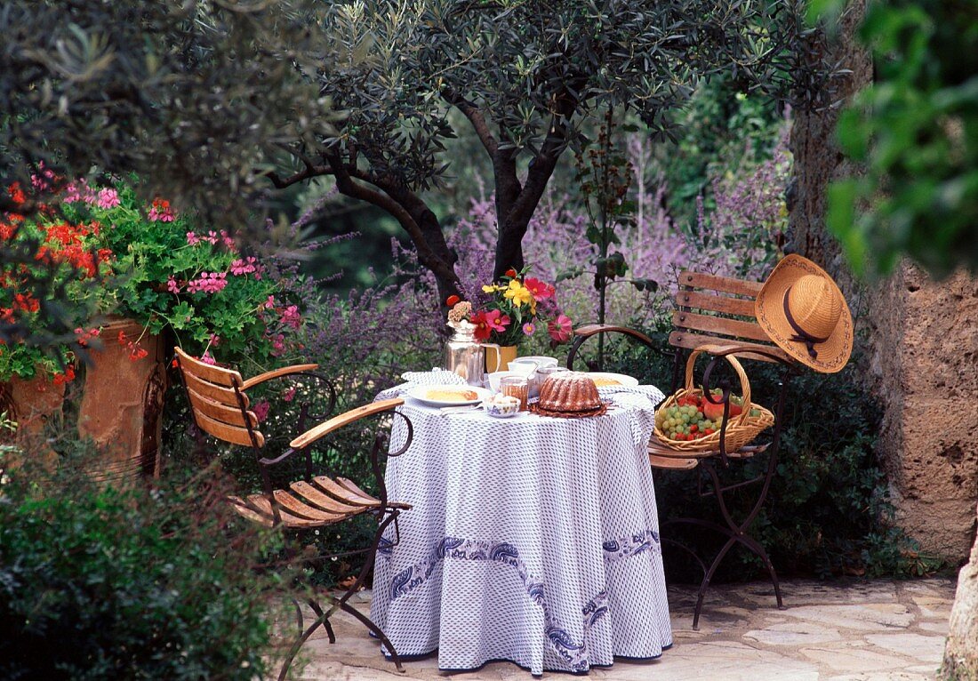 Gedeckter Frühstückstisch vor Olivenbaum und Lavendelblüten, Provence, Frankreich