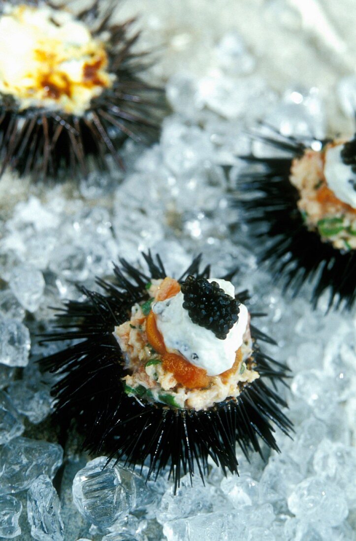 Sea urchins filled with caviar and sour cream