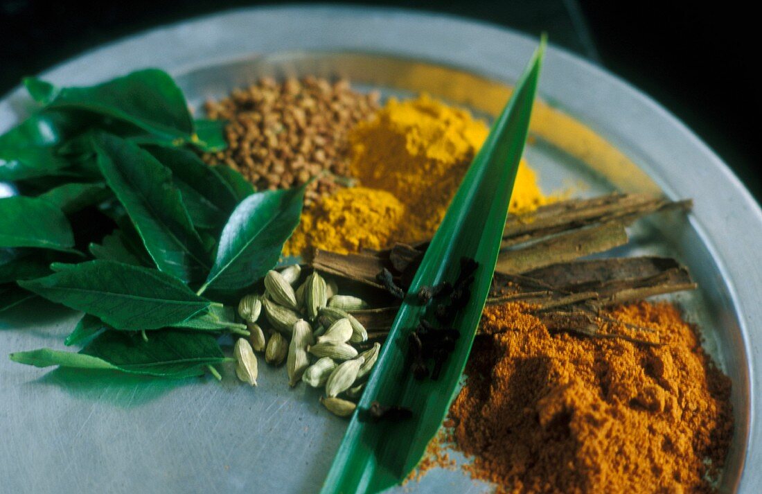 Gewürze und Kräuter für die Zubereitung eines Currys