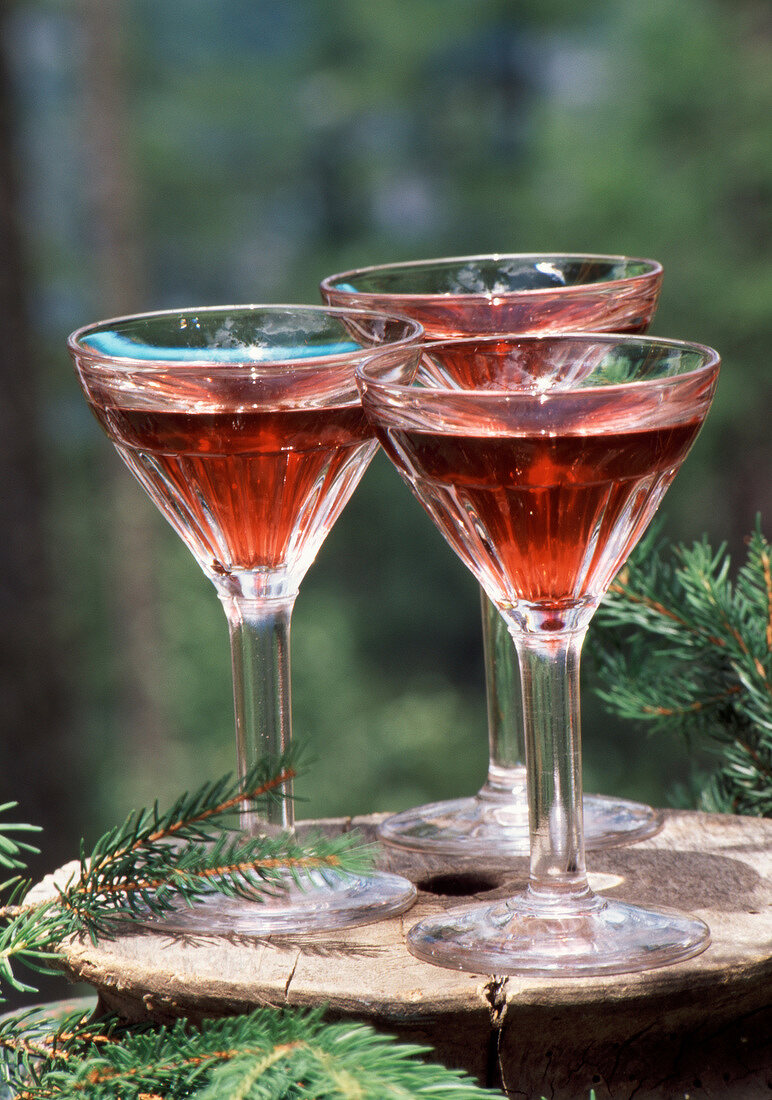 Drei Gläser Roter Martini im Wald