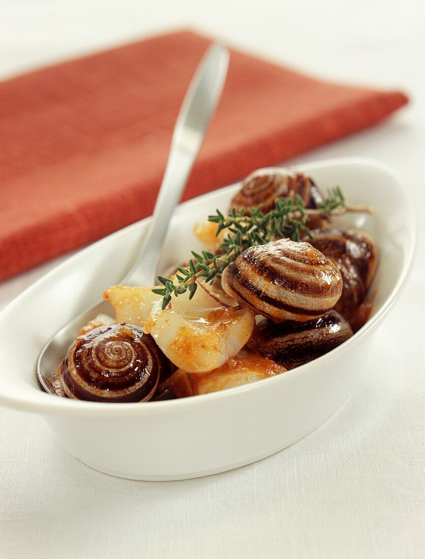 Cooked snails and cuttlefish