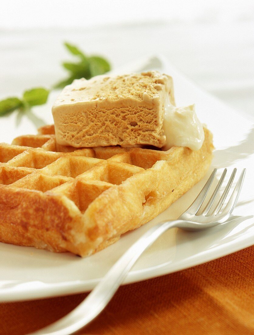 Waffle with touron ice cream