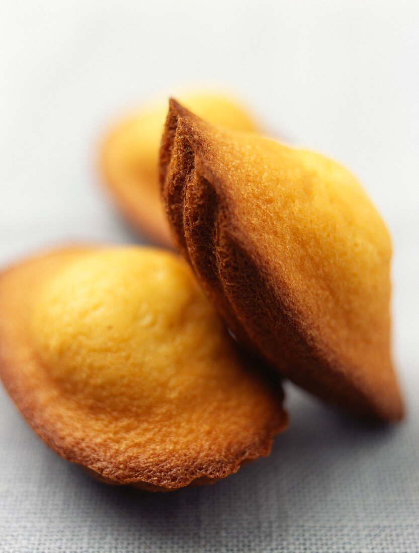 Madeleines