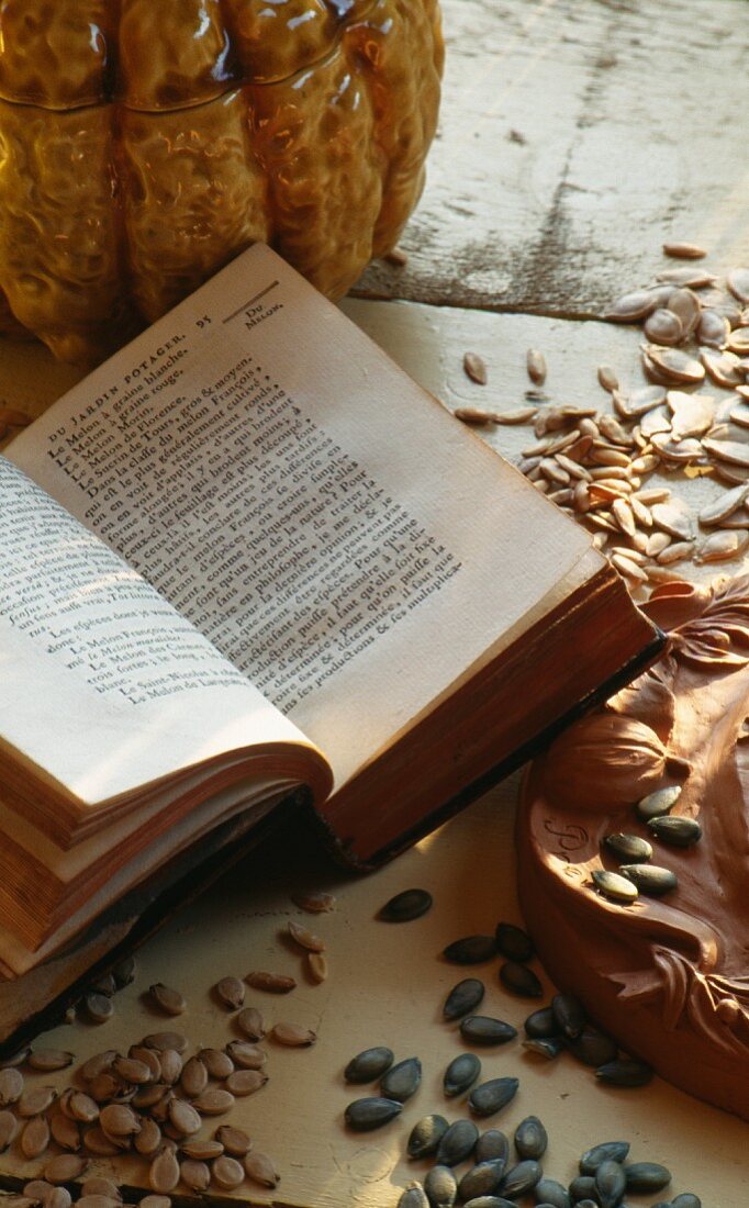 Melon seeds and book