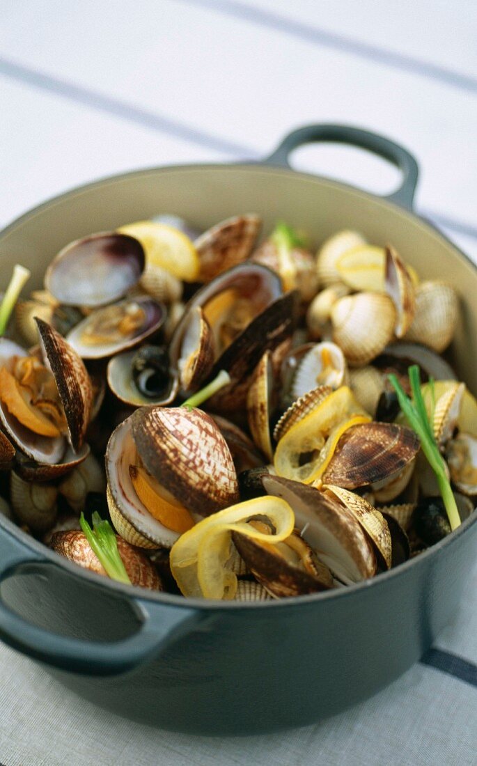 Cockles and carpet-shell-clams in casserole dish